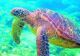 Economía Azul en Canarias 2018-2024