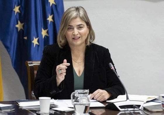 María Méndez en el Parlamento de Canarias.