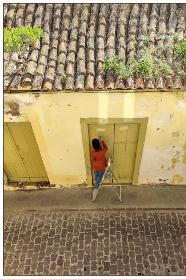 Trabajo de campo para el estudio.