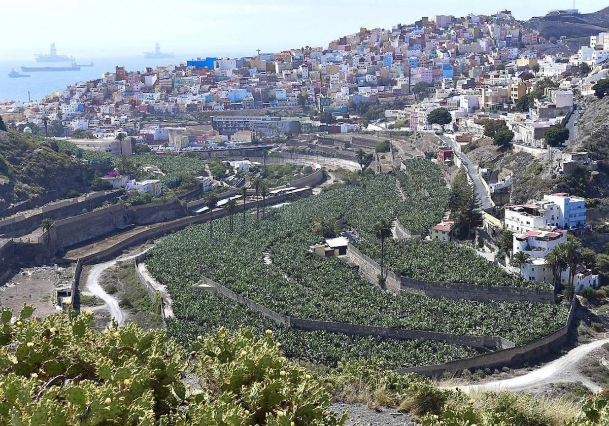 Panorámica del Barranco del Guiniguada desde el barrio de San Francisco.