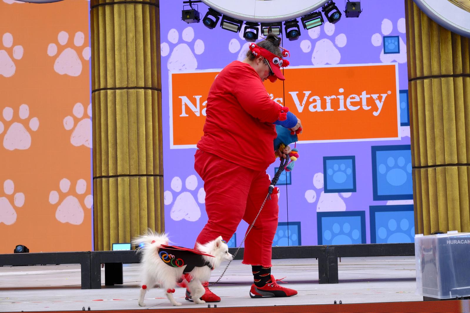 El carnaval canino de la capital grancanaria, en imágenes