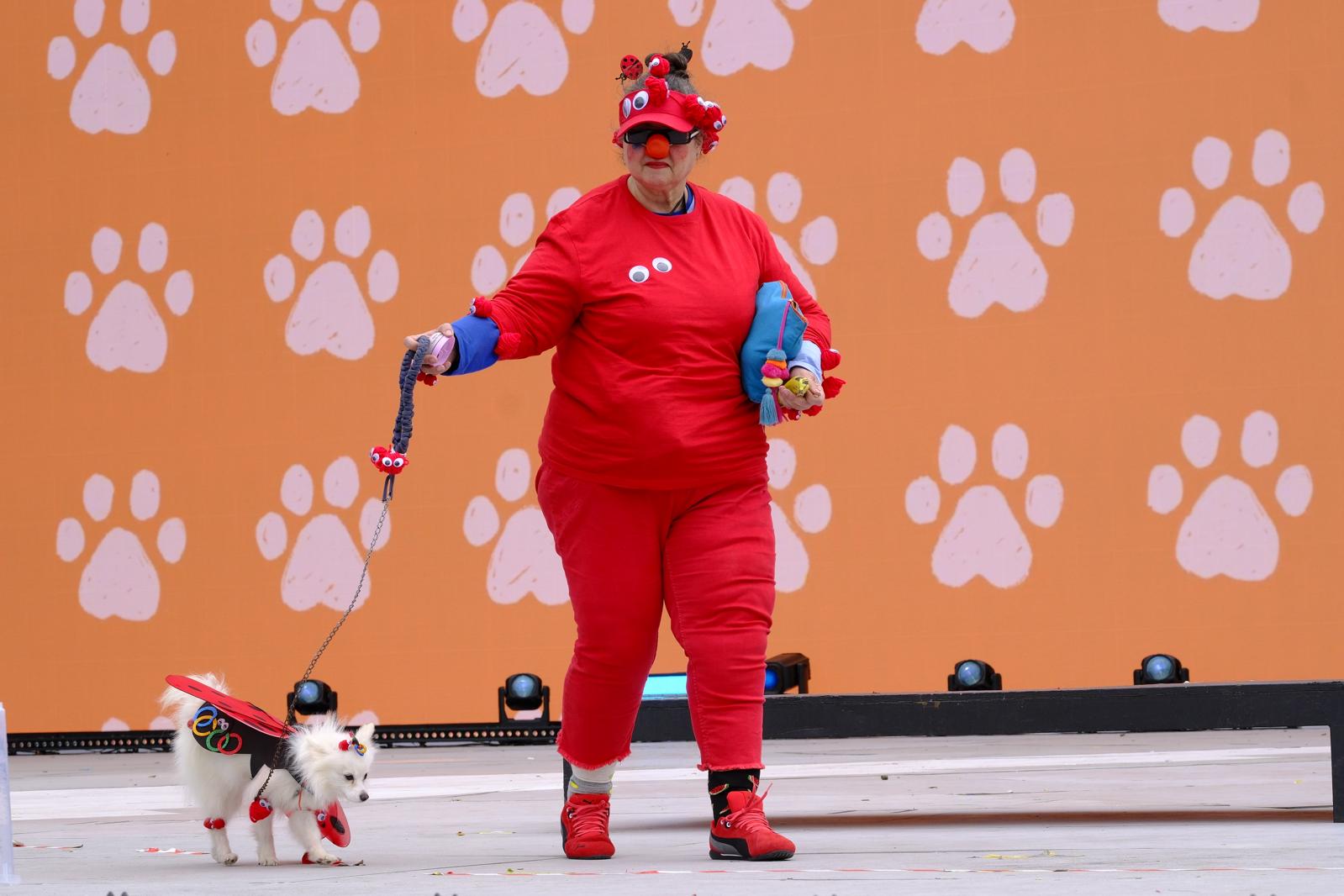 El carnaval canino de la capital grancanaria, en imágenes