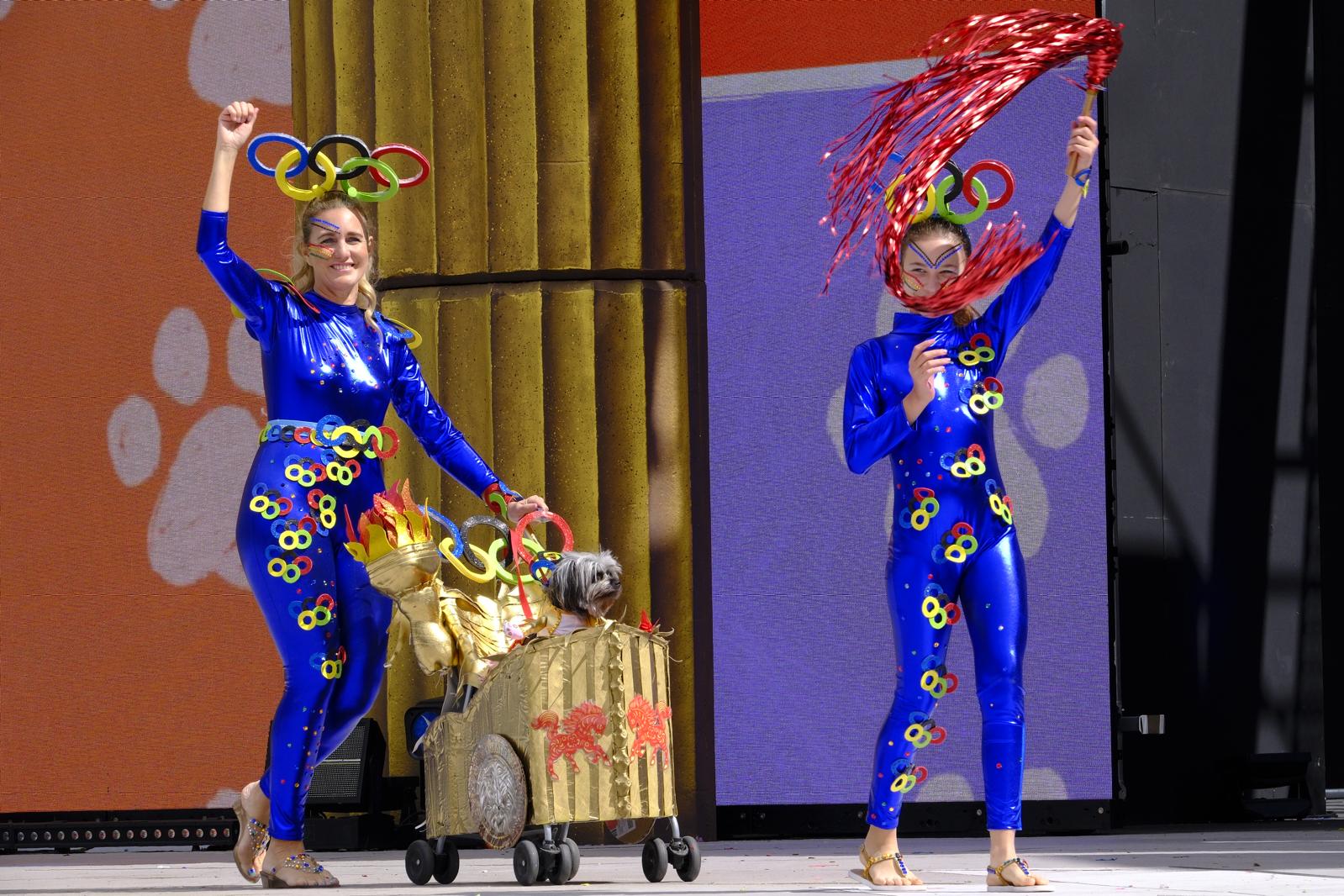 El carnaval canino de la capital grancanaria, en imágenes