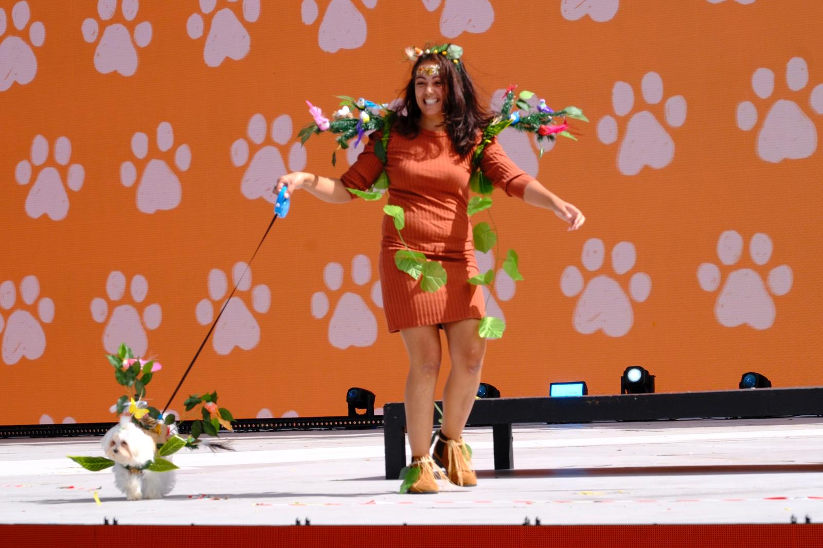 El carnaval canino de la capital grancanaria, en imágenes