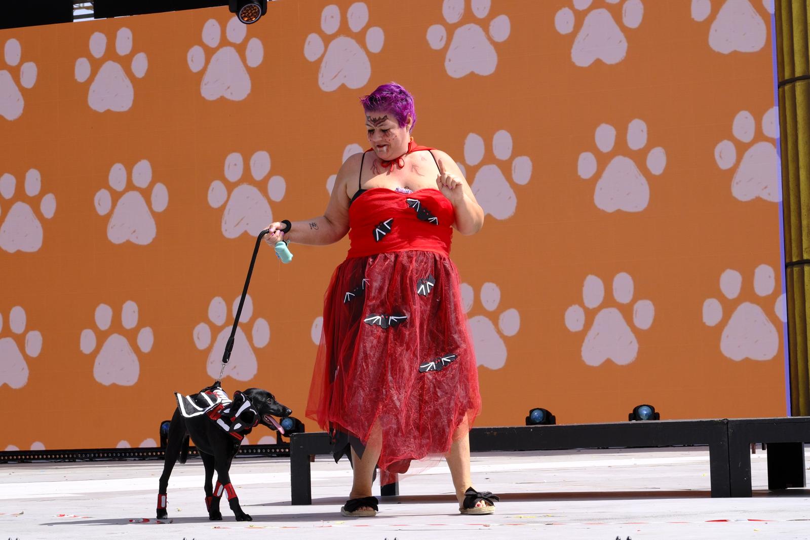 El carnaval canino de la capital grancanaria, en imágenes