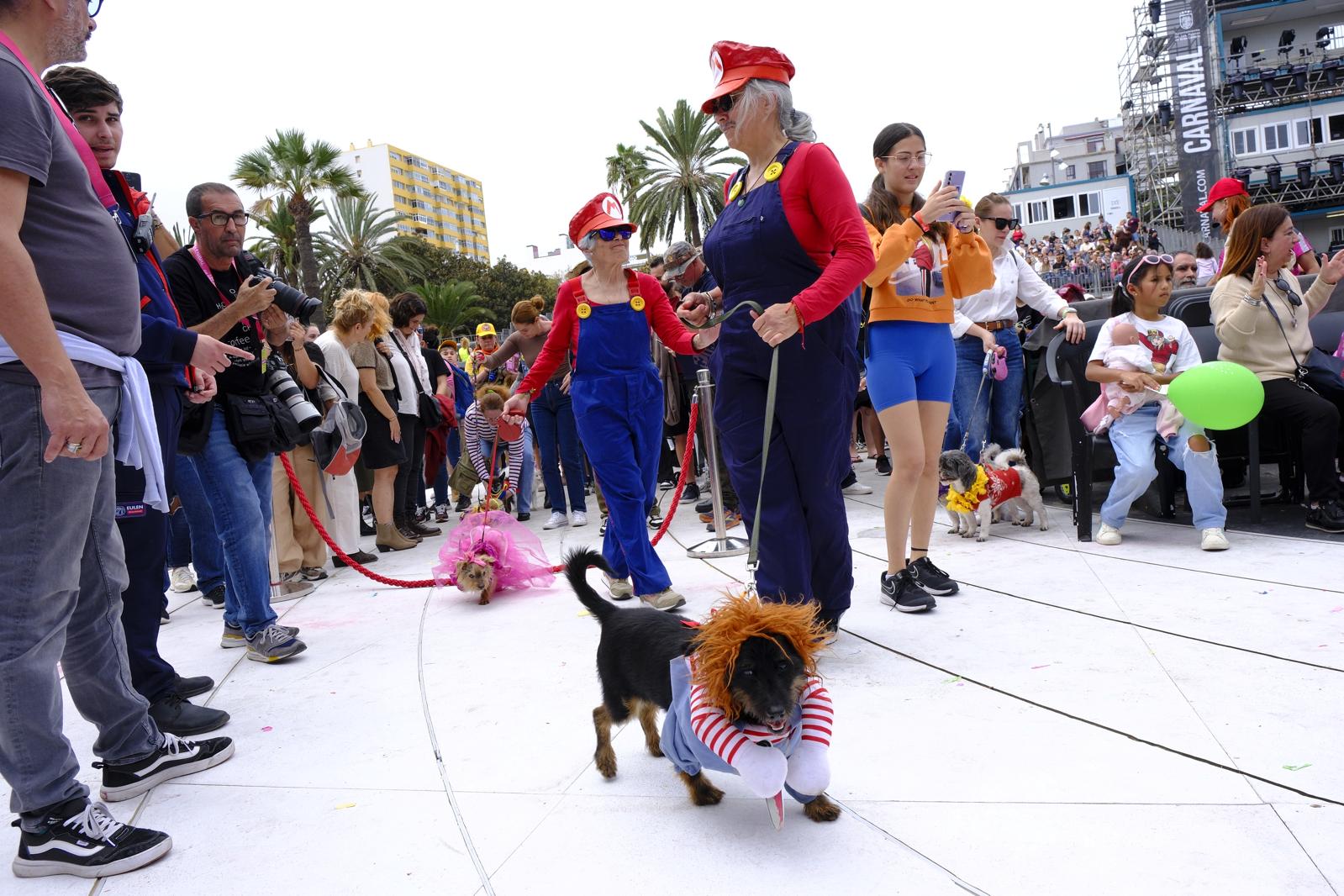 El carnaval canino de la capital grancanaria, en imágenes