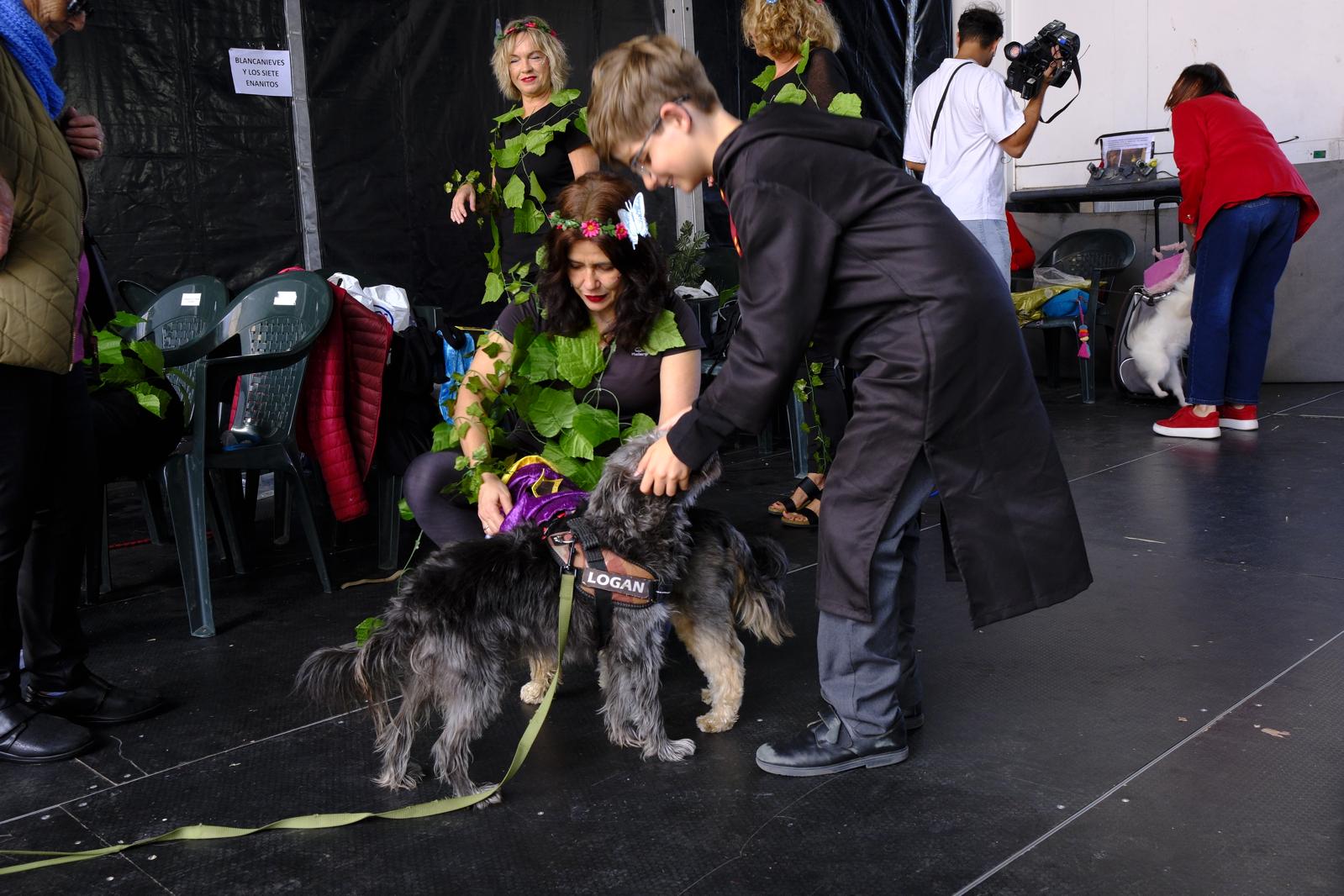 El carnaval canino de la capital grancanaria, en imágenes