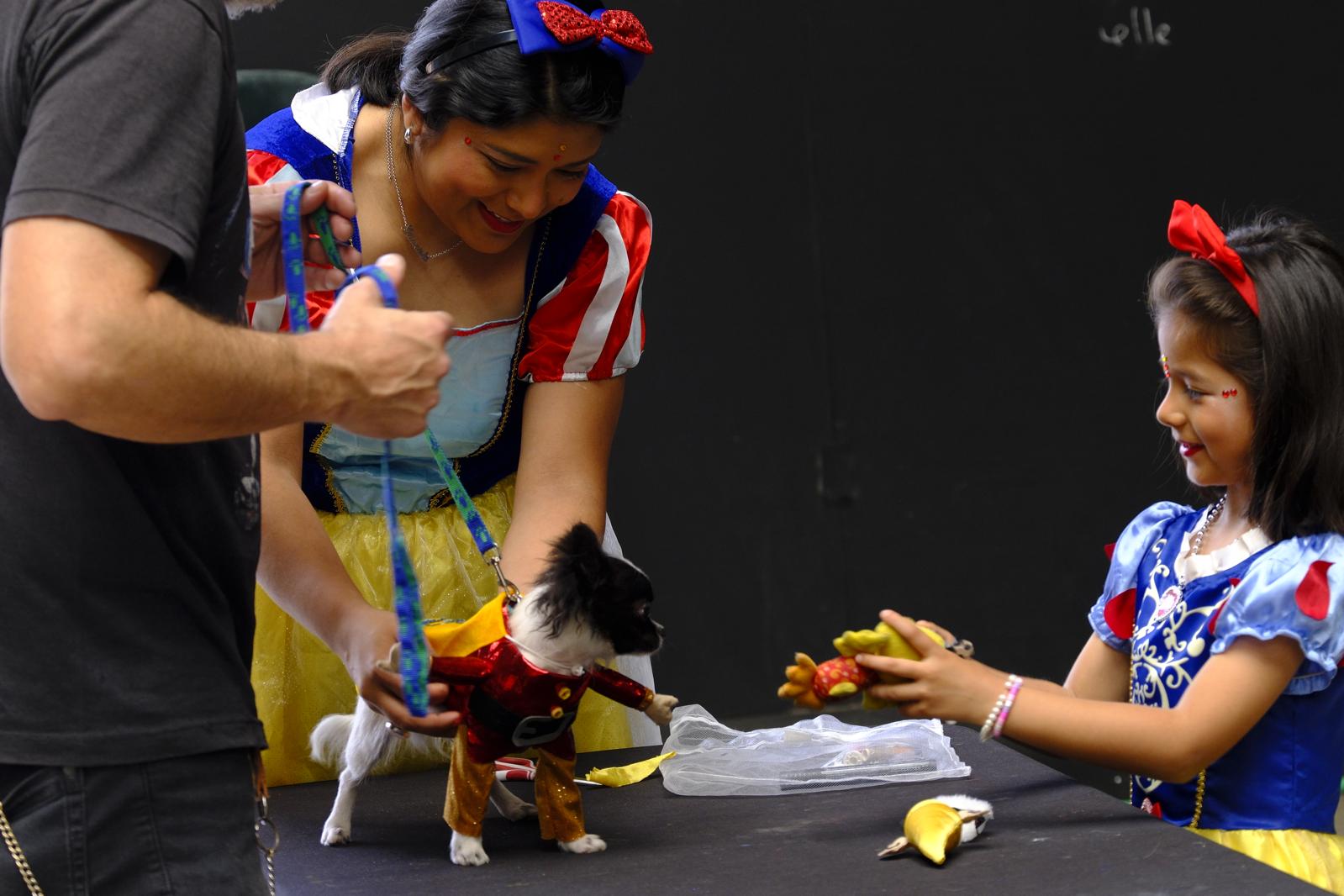 El carnaval canino de la capital grancanaria, en imágenes