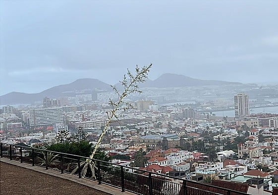 La capital grancanaria despertó este domingo con lloviznas.