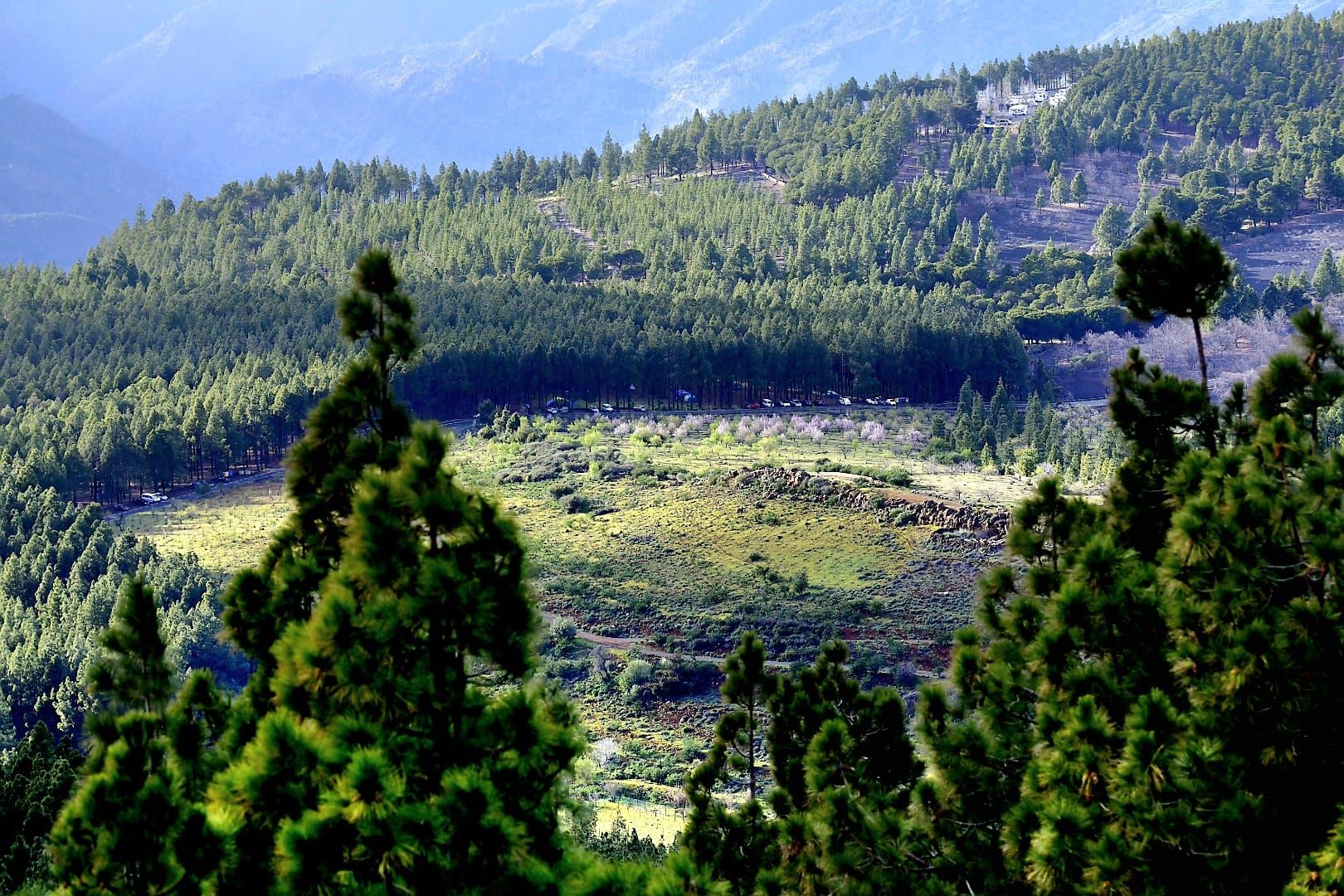 La cumbre de Gran Canaria presenta una fría postal verde