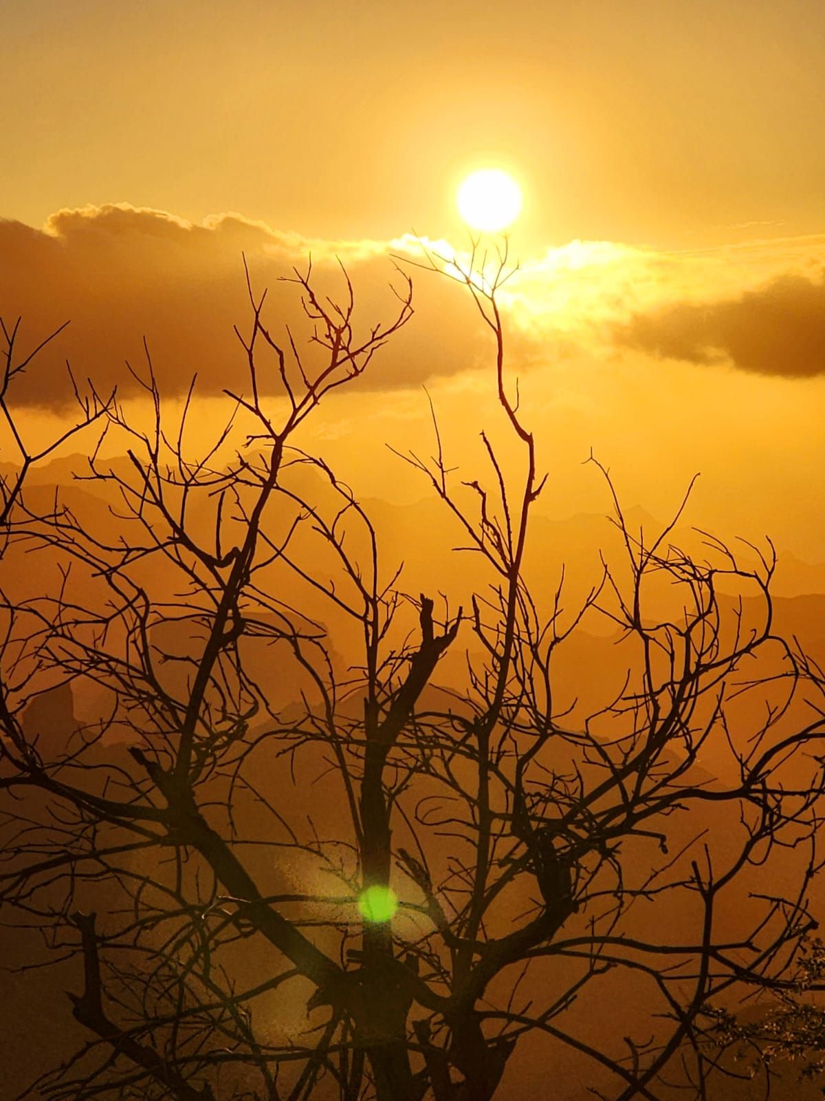 La cumbre de Gran Canaria presenta una fría postal verde