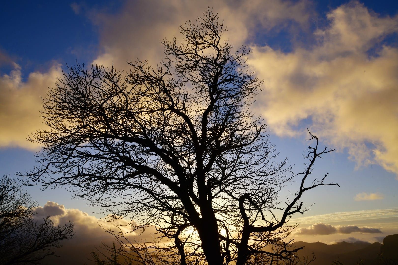 La cumbre de Gran Canaria presenta una fría postal verde