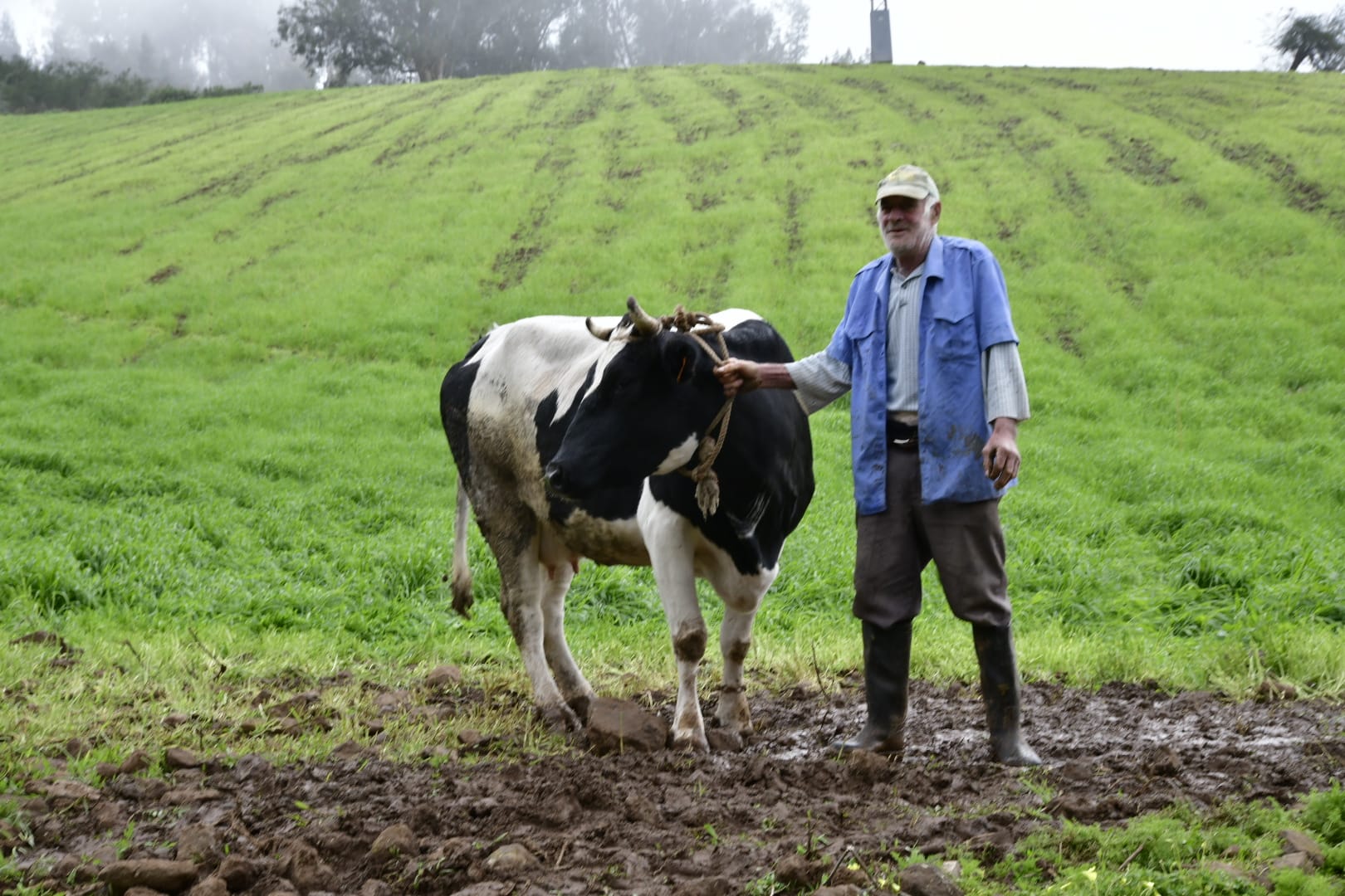 El campo agradece la lluvia, pero le sabe a poco