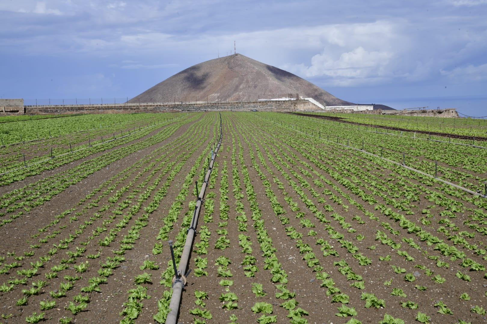 El campo agradece la lluvia, pero le sabe a poco