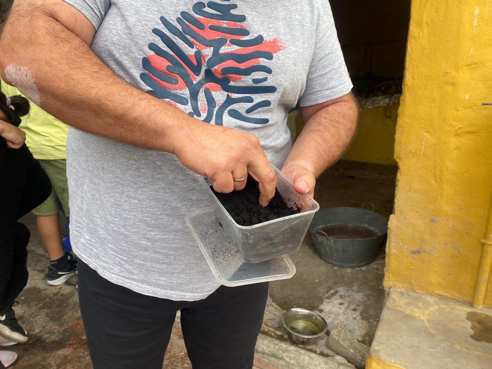 Estampida carnavalera de machos y cabras en La Aldea de San Nicolás