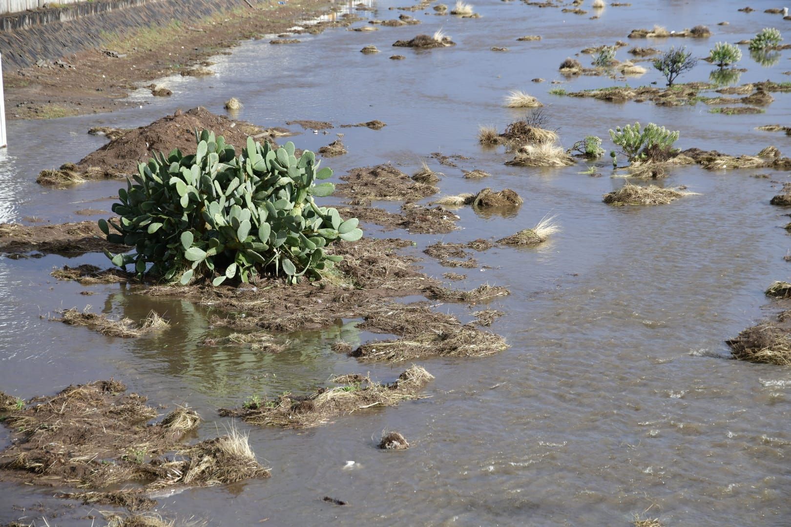 Las intensas lluvias se hacen con Arinaga