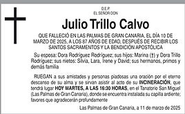 Julio Trillo Calvo