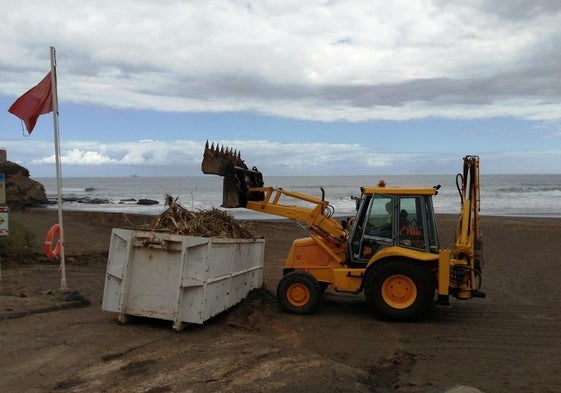 Imagen de este martes de la recogida de residuos en Playa del Hombre.