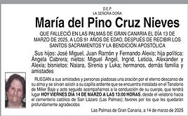 María del Pino Cruz Nieves