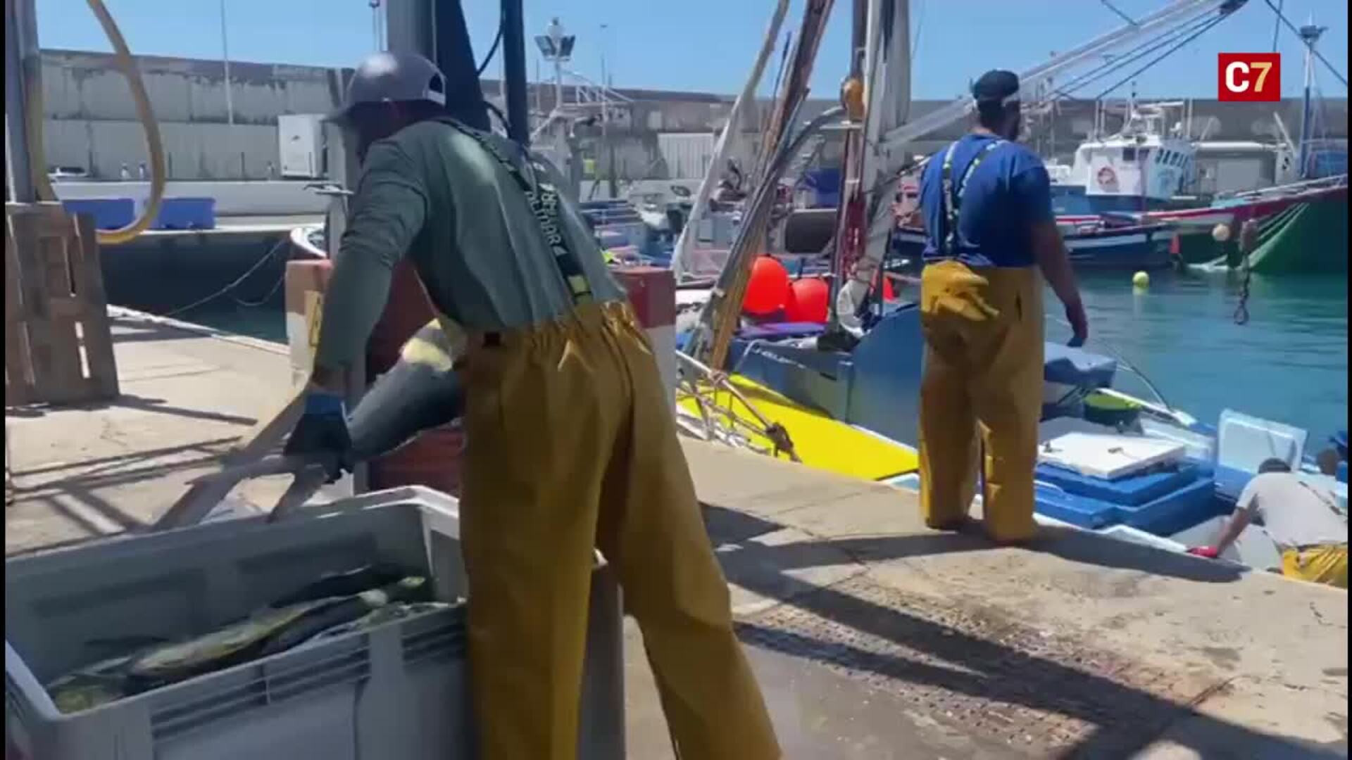 El Nuevo Olimar pescó también 200 kilos de dorados
