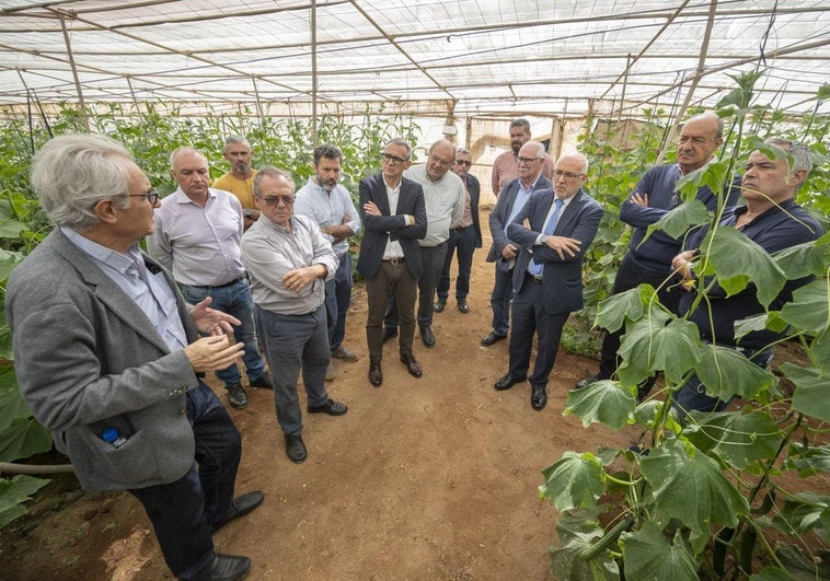 Asociados de Fedex y autoridades en una de las plantaciones de pepinos del Grupo Bonny.