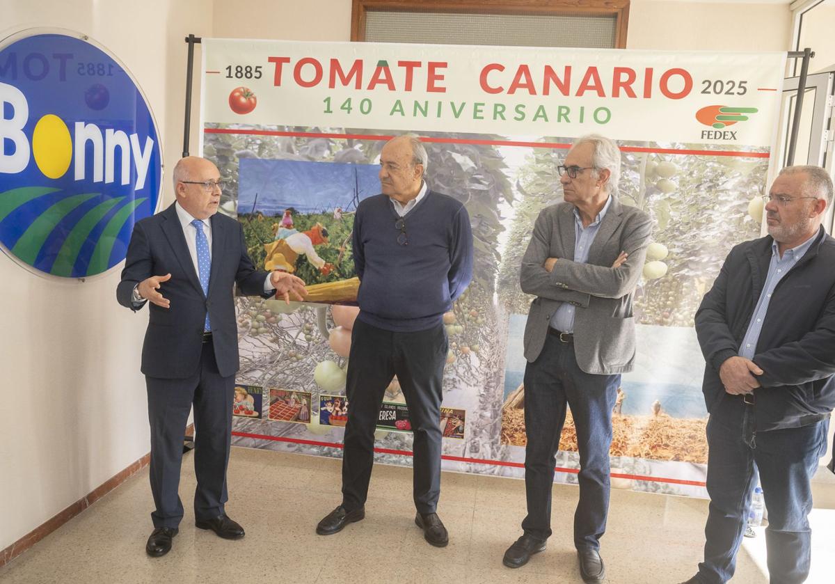 Imagen principal - El cultivo de tomate resiste con 350 hectáreas y el pepino gana terreno