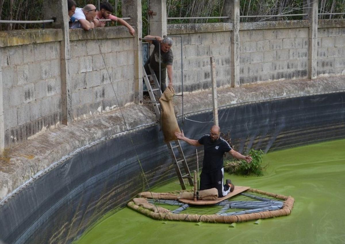 Imagen secundaria 1 - Cría y progenitor en la balsa, colocación de la microislas y fochas nadando. 