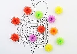 Las enfermedades digestivas, primera causa de hospitalización en 2023