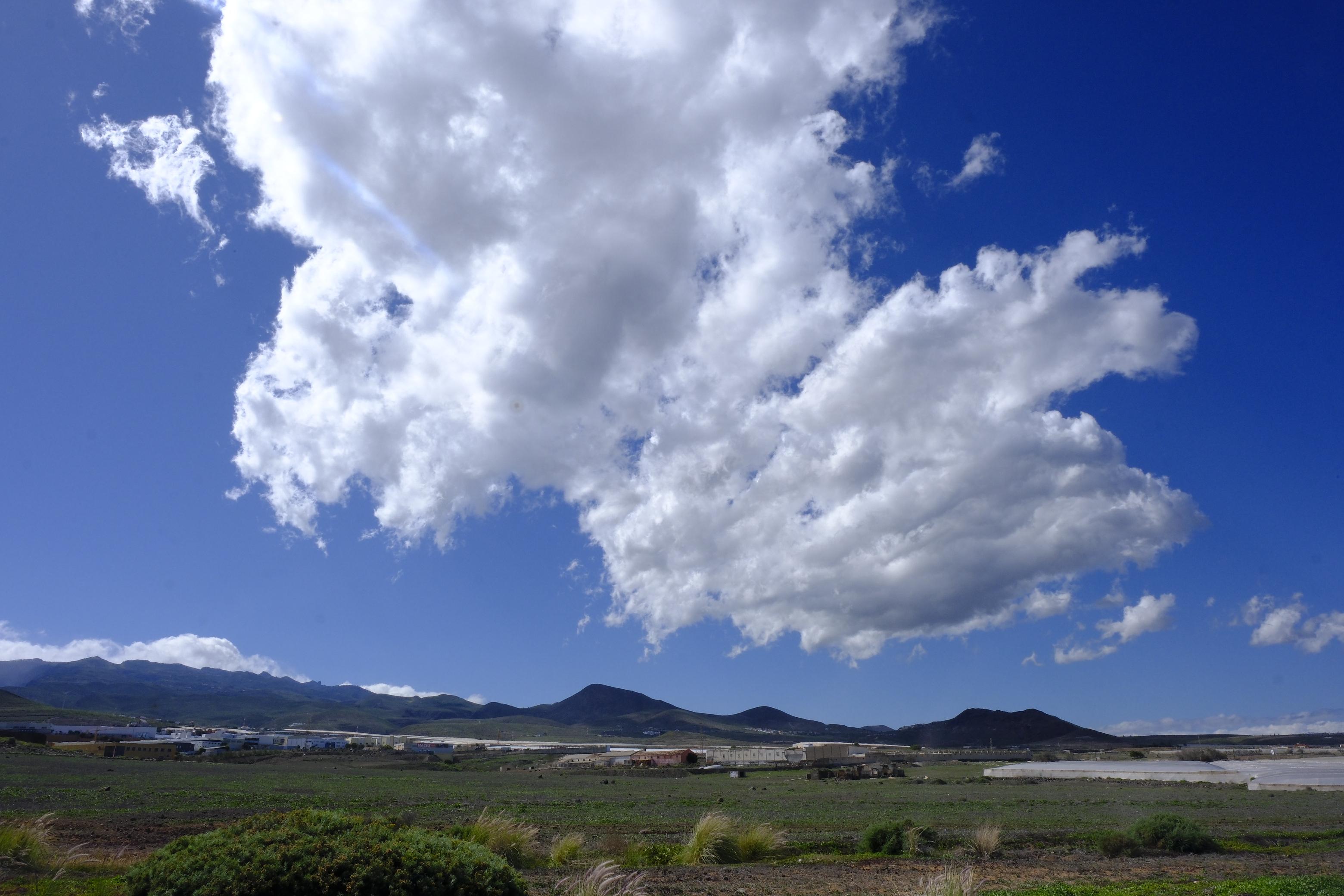 Las rachas de viento causan estragos en el norte de Gran Canaria