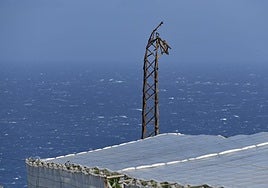 Las rachas de viento causan estragos en el norte de Gran Canaria