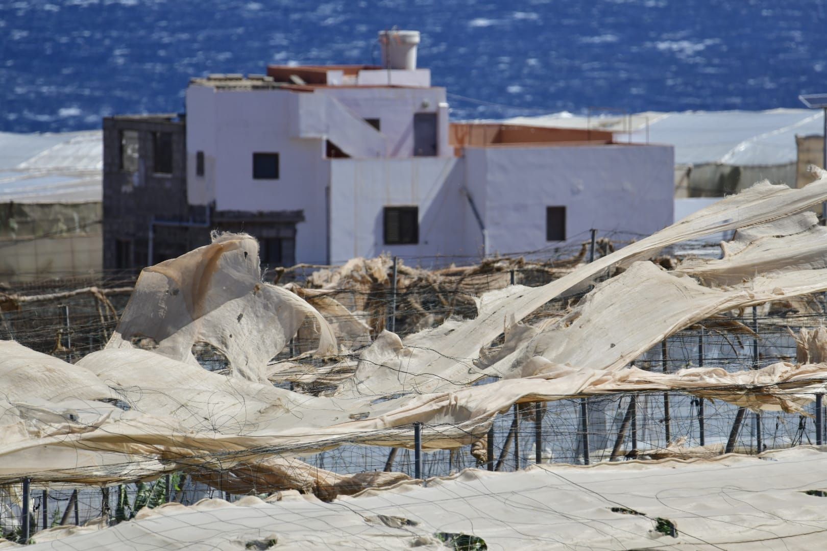Las rachas de viento causan estragos en el norte de Gran Canaria
