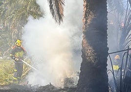 Un miembro del cuerpo de bomberos apaga las llamas en la mañana de este domingo, en este palmeral de Santa Brígica.