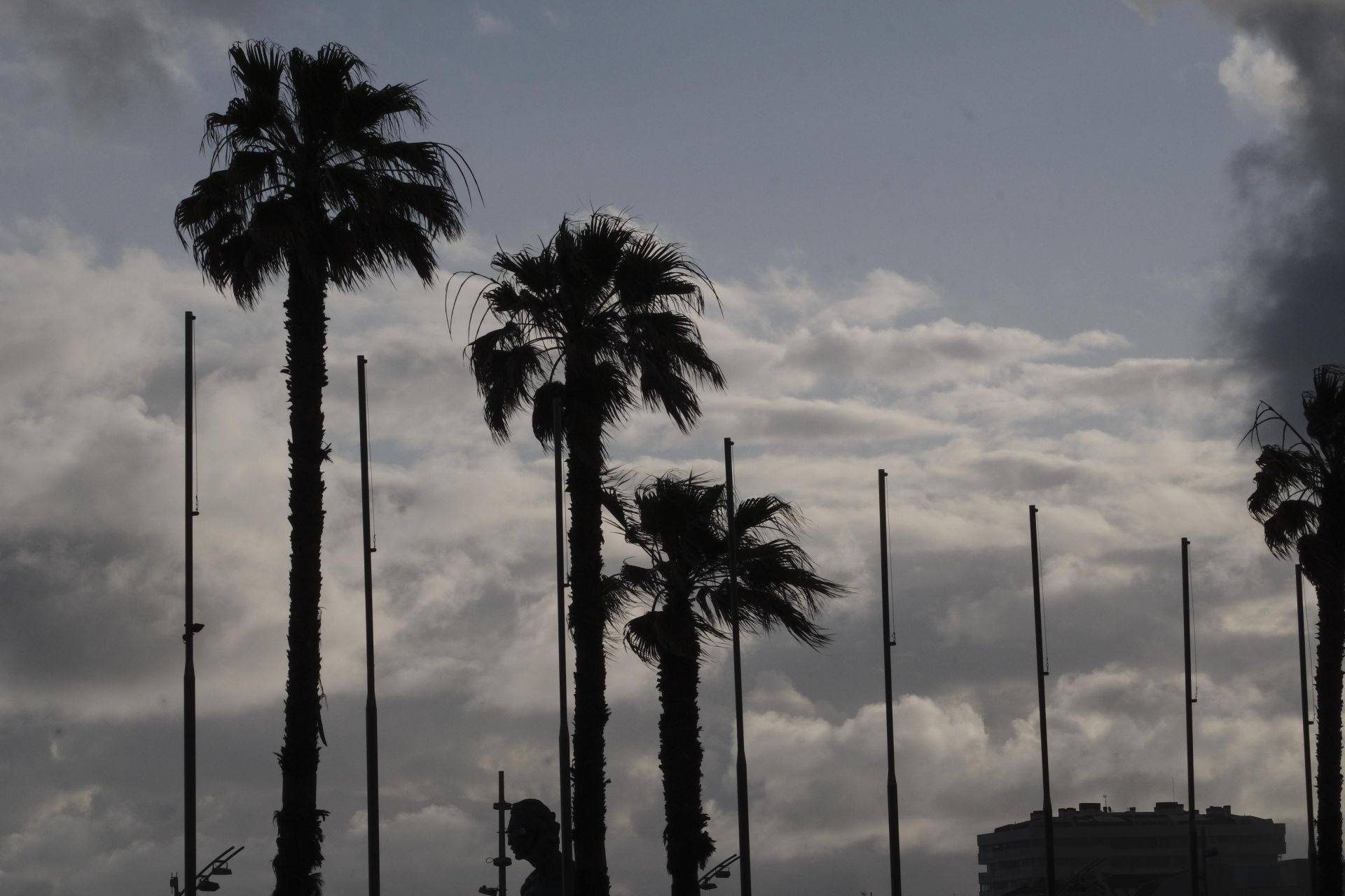 Entre paraguas y viento: La borrasca Olivier visita Canarias