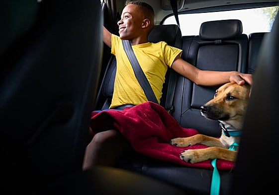 Viajar con mascotas, todo un reto en periodos vacacionales.