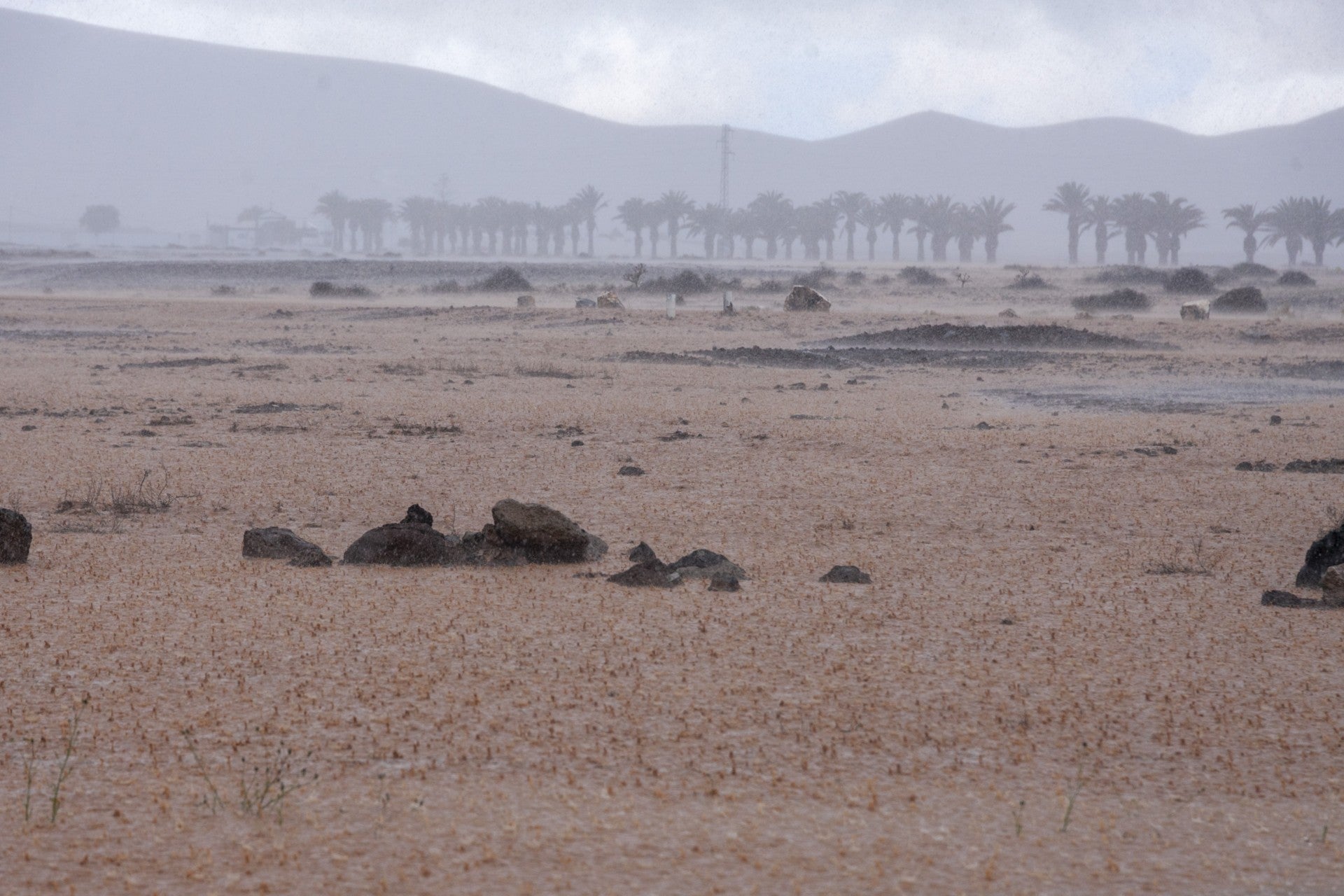 Los efectos de la lluvia en Lanzarote, en imágenes