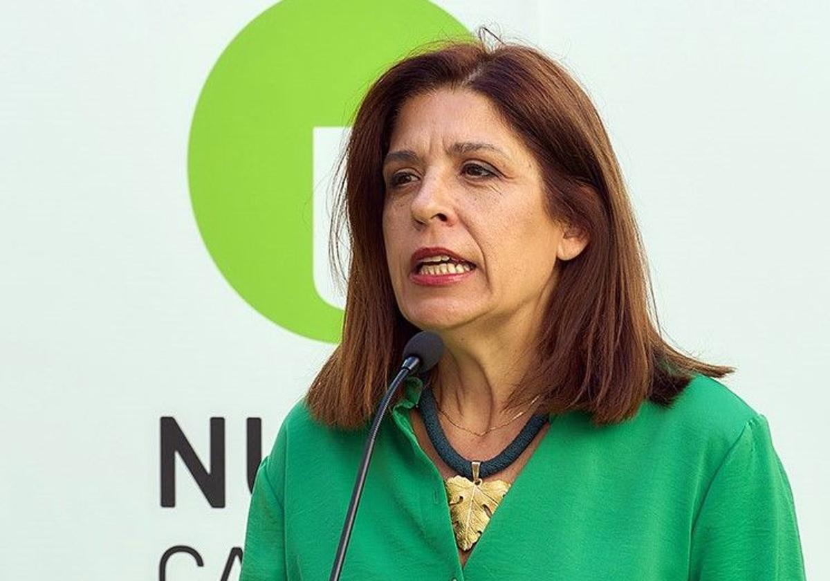 La diputada regional y dirigente de NC Carmen Hernández.