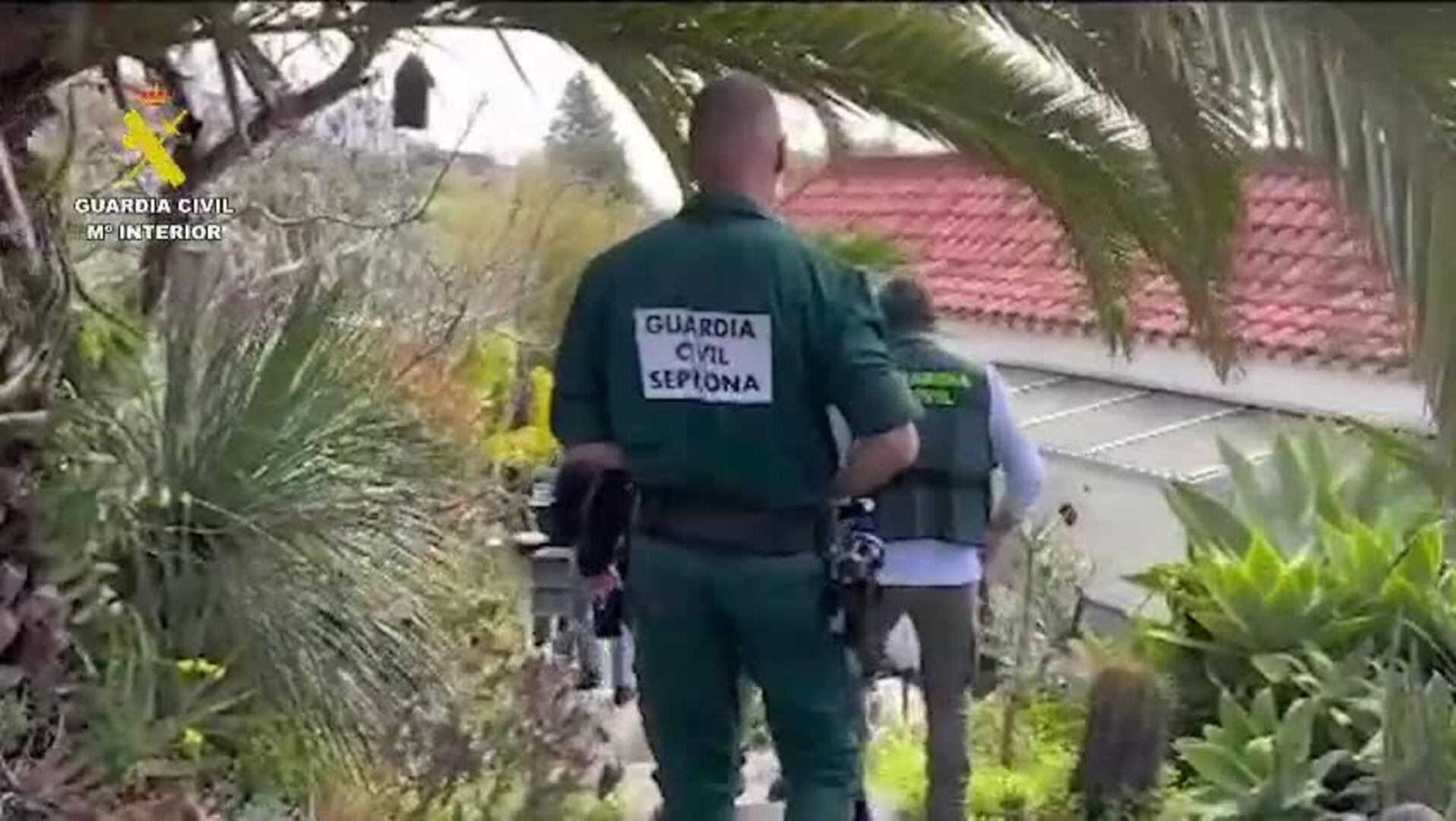 La Guardia Civil incauta 65 tortugas protegidas en una finca en Gran Canaria