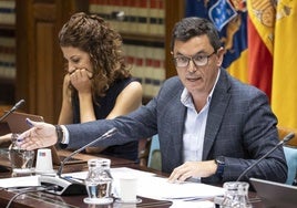 El consejero Pablo Rodríguez en comisión parlamentaria.