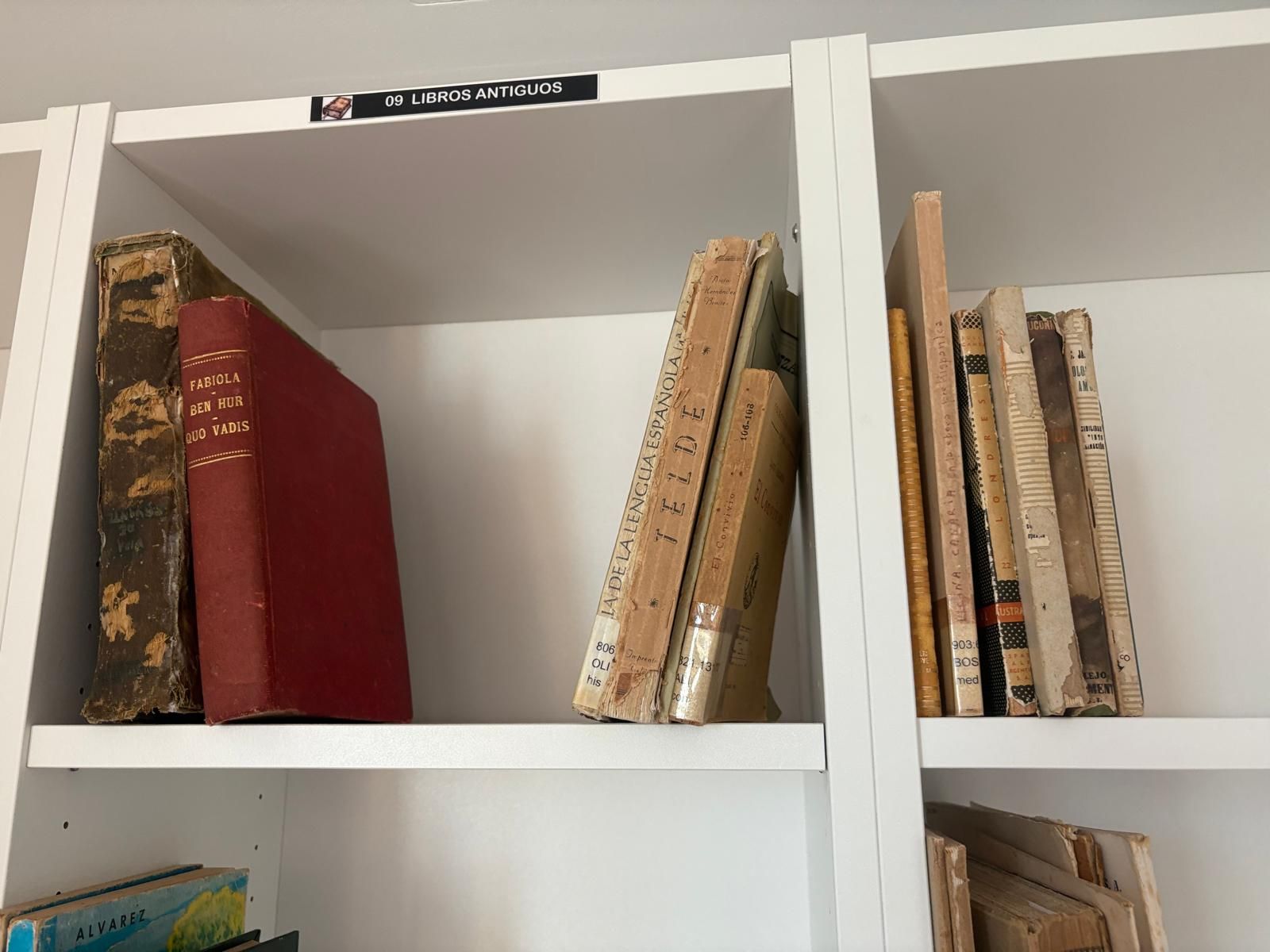 Ingenio inaugura nueva biblioteca en Carrizal