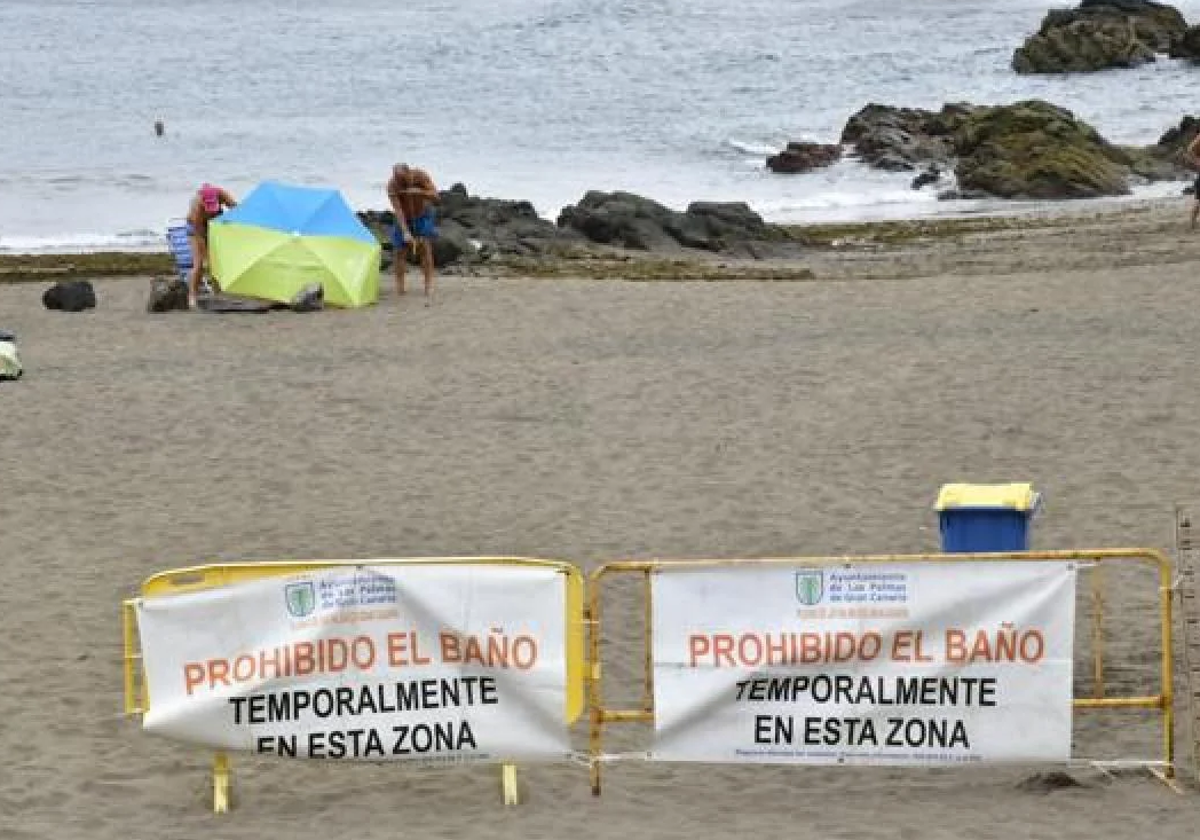 Alberto Lorente nada por las costas de España contra la contaminación y hace parada en Canarias