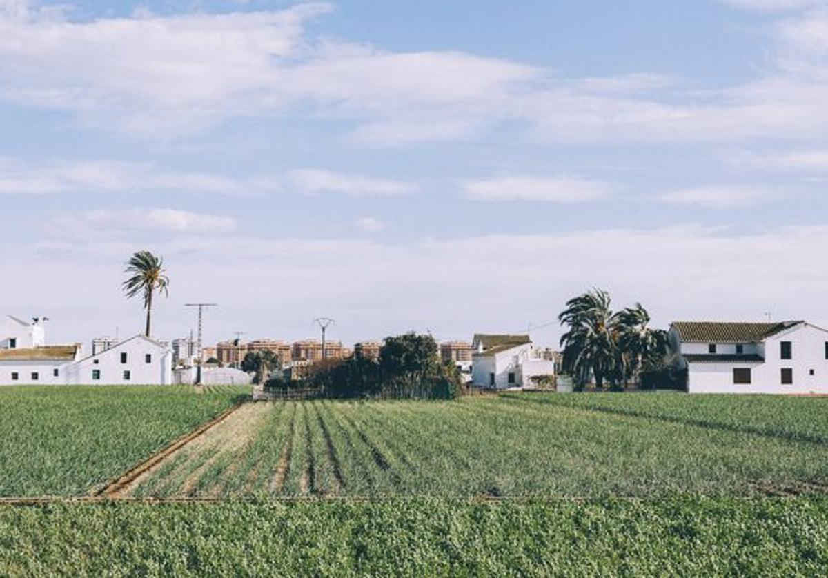València, alma mediterránea más cerca que nunca