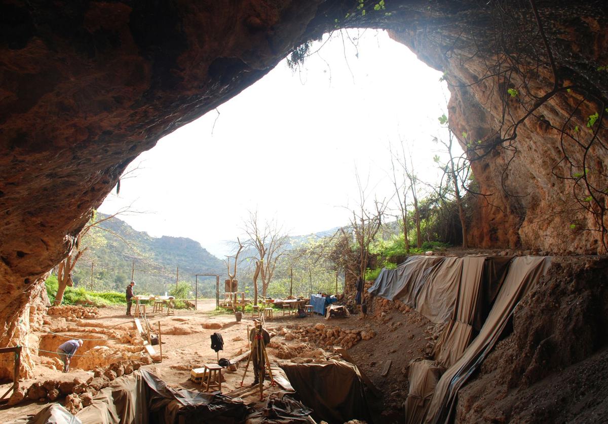 La ULPGC documenta el uso medicinal de plantas más antiguo, hace 15.000 años
