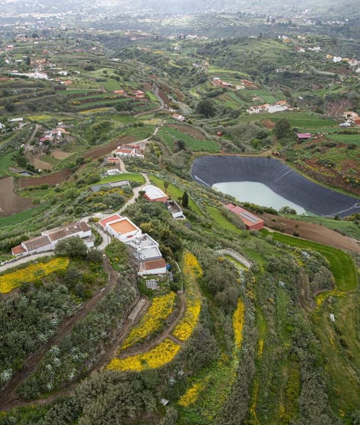 Imagen secundaria 2 - Vista del pinar sin una brizna amarilla, agua en una presa y cultivos en Teror. 