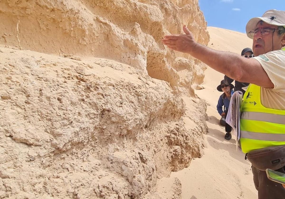 ¿Cómo era Fuerteventura hace 23 millones de años? Geolodía 2025 lo explica