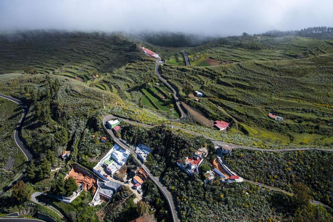 La primavera reverdece Gran Canaria