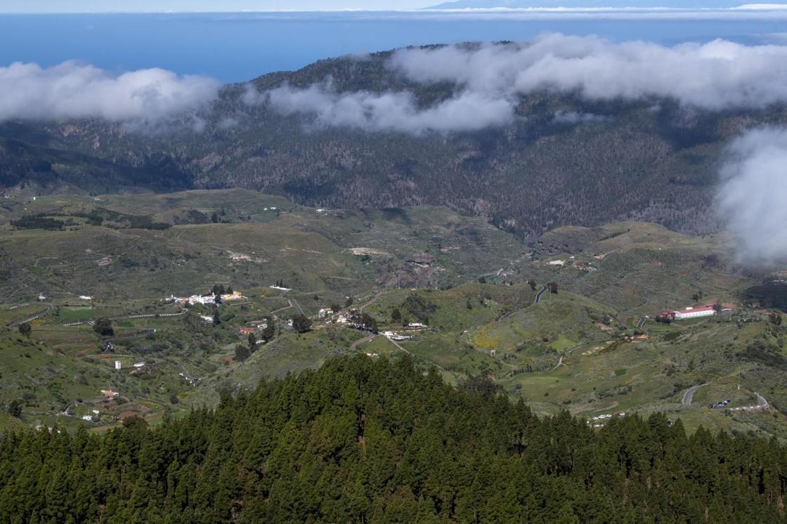 La primavera reverdece Gran Canaria
