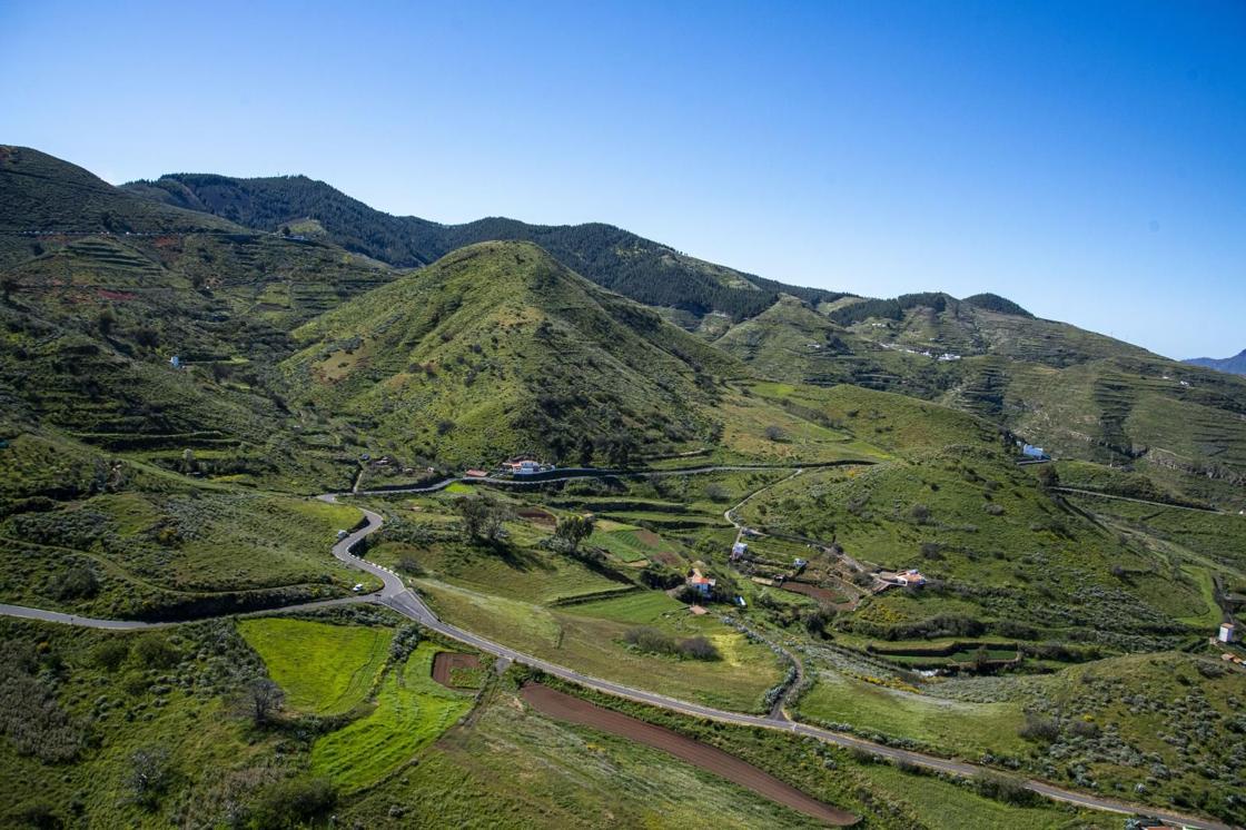 La primavera reverdece Gran Canaria