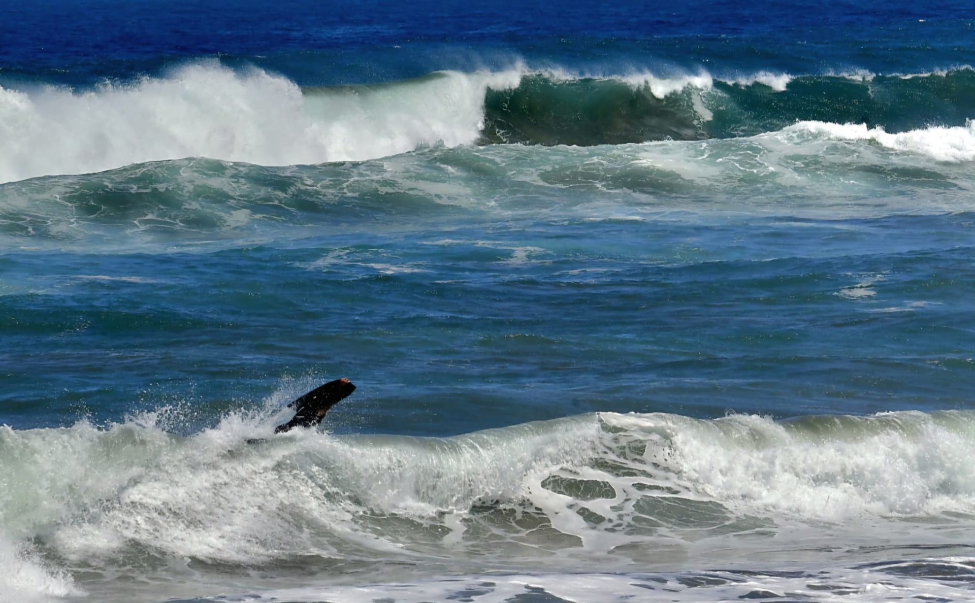 El fuerte oleaje sorprende a los bañistas en Las Canteras