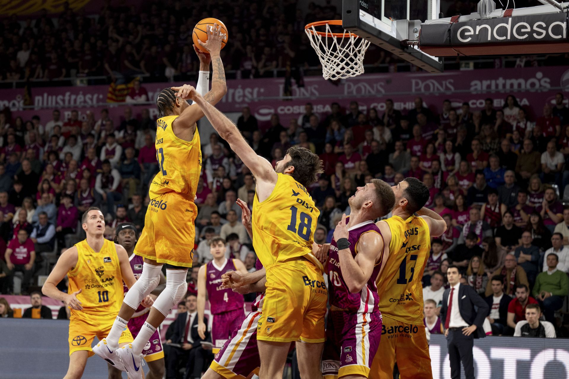 CANARIAS7 sortea 23 entradas dobles para el partido Dreamland Gran Canaria - Hiopos Lleida