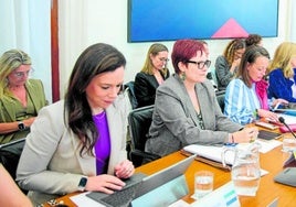 La consejera canaria de Infancia, Candelaria Delgado (2i), durante la Conferencia Sectorial celebrada el lunes en Madrid.